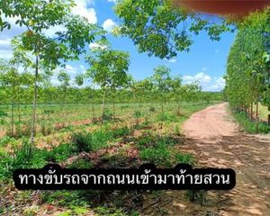 For Sale Land 80,000 sqm in Ban Kruat, Buriram, Thailand