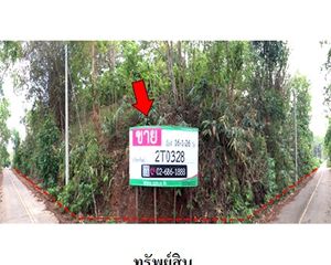 For Sale Land 26,104 sqm in Chiang Saen, Chiang Rai, Thailand