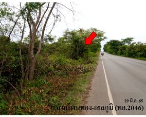 For Sale Land 176,848 sqm in Phon Thong, Roi Et, Thailand