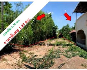 For Sale Land 1,300 sqm in Phu Khiao, Chaiyaphum, Thailand