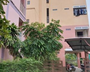 For Sale 12 Beds Apartment in Phimai, Nakhon Ratchasima, Thailand