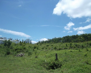 For Sale Land 1,600 sqm in Thalang, Phuket, Thailand