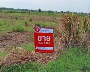 For Sale Land 20,000 sqm in Mueang Uthai Thani, Uthai Thani, Thailand