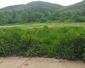 For Sale Land 8,000 sqm in Hang Chat, Lampang, Thailand