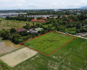 For Sale Land 3,063.6 sqm in San Sai, Chiang Mai, Thailand
