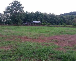 For Sale Land 10,592 sqm in Samoeng, Chiang Mai, Thailand
