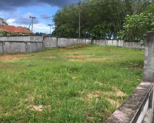 For Sale Land 440 sqm in Thalang, Phuket, Thailand