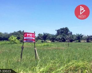 For Sale Land 1,376 sqm in Bueng Khong Long, Bueng Kan, Thailand