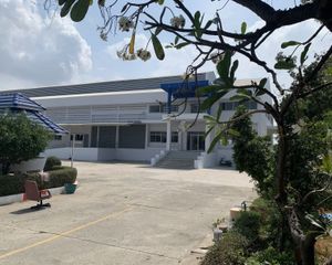 For Sale or Rent Warehouse 8,356 sqm in Bang Pakong, Chachoengsao, Thailand