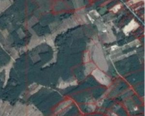 For Sale Land in Si Wilai, Bueng Kan, Thailand