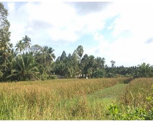 For Sale Land 18,576 sqm in Mueang Nakhon Si Thammarat, Nakhon Si Thammarat, Thailand