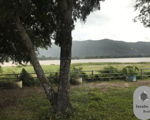 For Sale Land 480 sqm in Bung Khla, Bueng Kan, Thailand