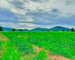 For Sale Land 1,600 sqm in Mueang Suphanburi, Suphan Buri, Thailand