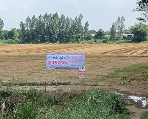 For Sale Land 32,000 sqm in Bang Rakam, Phitsanulok, Thailand