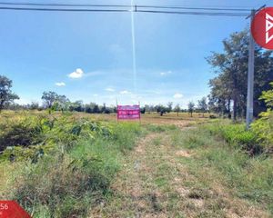 For Sale Land 7,430.4 sqm in Det Udom, Ubon Ratchathani, Thailand