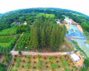 For Sale Land 2,616 sqm in Kui Buri, Prachuap Khiri Khan, Thailand