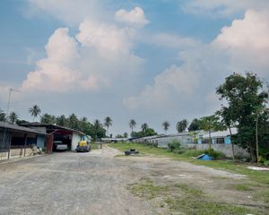 For Sale Land 4,822.8 sqm in Takua Thung, Phang Nga, Thailand