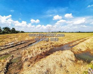 For Sale Land 115,568 sqm in Song Phi Nong, Suphan Buri, Thailand