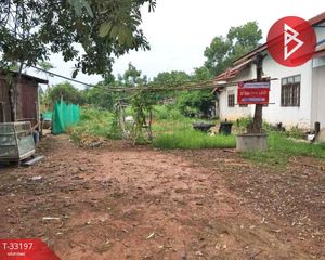 For Sale Land 1,188 sqm in Si Wilai, Bueng Kan, Thailand