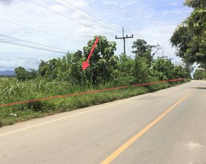 For Sale Land 18,552 sqm in Pong, Phayao, Thailand
