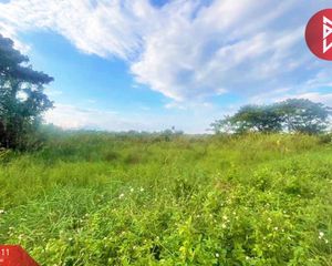 For Sale Land 5,540 sqm in Mueang Lamphun, Lamphun, Thailand