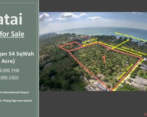 For Sale Land 41,016 sqm in Takua Thung, Phang Nga, Thailand