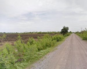 For Sale Land 2,160,900 sqm in Ban Mi, Lopburi, Thailand