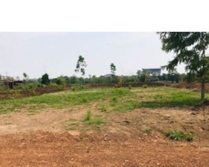 For Sale Land 1,200 sqm in Nong Phai, Phetchabun, Thailand