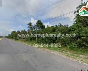 For Sale Land 1,302 sqm in Mueang Narathiwat, Narathiwat, Thailand