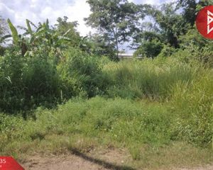 For Sale Land 720 sqm in Mueang Mukdahan, Mukdahan, Thailand
