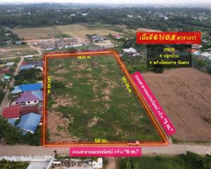 For Sale Land 9,600 sqm in Mueang Phitsanulok, Phitsanulok, Thailand
