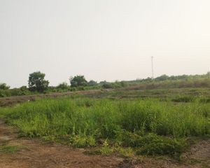 For Sale Land 3,364 sqm in Bang Khla, Chachoengsao, Thailand
