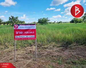 For Sale Land 7,924 sqm in Seka, Bueng Kan, Thailand