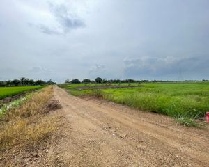 For Sale Land 1,600 sqm in Bang Nam Priao, Chachoengsao, Thailand