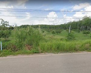 For Sale Land 49,532 sqm in Klaeng, Rayong, Thailand