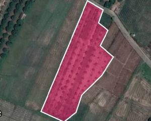 For Sale Land 6,680 sqm in San Pa Tong, Chiang Mai, Thailand