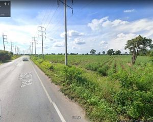 For Sale Land 38,698 sqm in Sikhio, Nakhon Ratchasima, Thailand