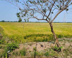 For Sale Land 50,592 sqm in Lat Lum Kaeo, Pathum Thani, Thailand