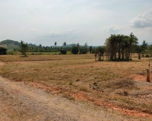 For Sale Land 22,116 sqm in Pran Buri, Prachuap Khiri Khan, Thailand