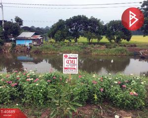 For Sale Land in Mueang Chai Nat, Chainat, Thailand