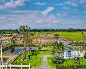 For Sale Land 1,600 sqm in Wihan Daeng, Saraburi, Thailand