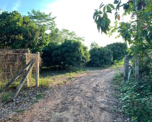 For Sale Land 15,320 sqm in Chiang Kham, Phayao, Thailand