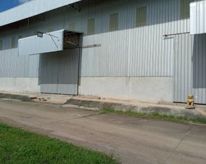 For Rent Warehouse 1,500 sqm in Pak Thong Chai, Nakhon Ratchasima, Thailand