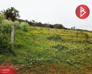 For Sale Land 7,508 sqm in Seka, Bueng Kan, Thailand