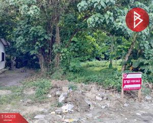 For Sale Land 186.4 sqm in Thung Song, Nakhon Si Thammarat, Thailand