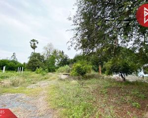 For Sale Land 31,682.8 sqm in Pho Thong, Ang Thong, Thailand