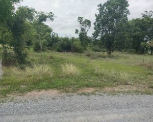 For Sale Land 14,400 sqm in Don Chedi, Suphan Buri, Thailand