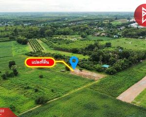 For Sale Land 10,016 sqm in Wang Thong, Phitsanulok, Thailand