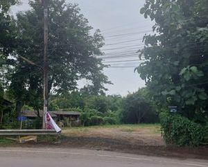 For Sale Land 792 sqm in San Pa Tong, Chiang Mai, Thailand
