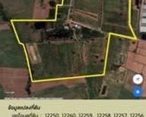 For Sale Land 171,748 sqm in Phu Khiao, Chaiyaphum, Thailand